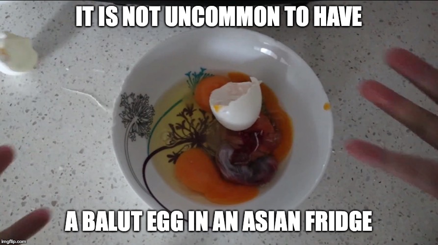 Balut Egg | IT IS NOT UNCOMMON TO HAVE; A BALUT EGG IN AN ASIAN FRIDGE | image tagged in balut,mychonny,youtube,memes | made w/ Imgflip meme maker