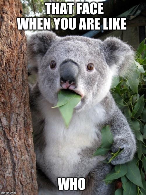 Surprised Koala | THAT FACE WHEN YOU ARE LIKE; WHO | image tagged in memes,surprised koala | made w/ Imgflip meme maker