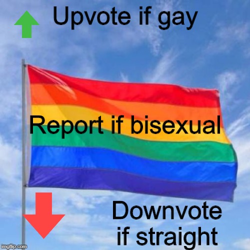 Gay pride flag | Upvote if gay; Report if bisexual; Downvote if straight | image tagged in nohomo | made w/ Imgflip meme maker