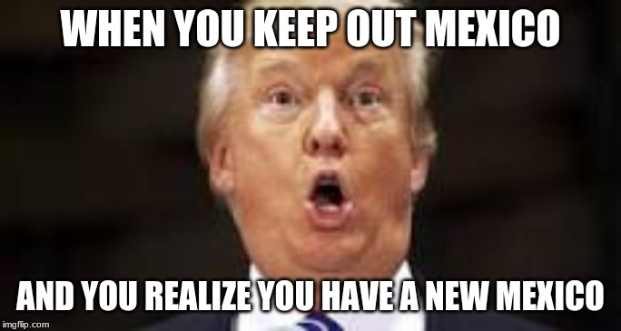 WHEN YOU KEEP OUT MEXICO; AND YOU REALIZE YOU HAVE A NEW MEXICO | image tagged in donald trump | made w/ Imgflip meme maker