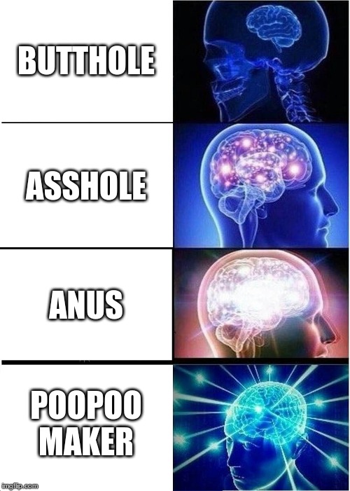 Expanding Brain | BUTTHOLE; ASSHOLE; ANUS; POOPOO MAKER | image tagged in memes,expanding brain | made w/ Imgflip meme maker