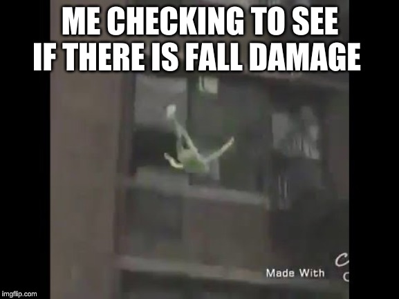 ME CHECKING TO SEE IF THERE IS FALL DAMAGE | image tagged in gaming,kermit,lol | made w/ Imgflip meme maker