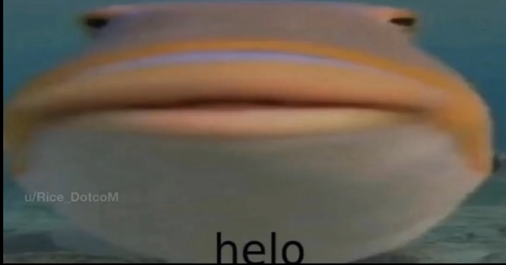 High Quality Say hi to the fish Blank Meme Template