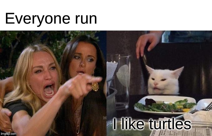 Woman Yelling At Cat | Everyone run; I like turtles | image tagged in memes,woman yelling at cat | made w/ Imgflip meme maker