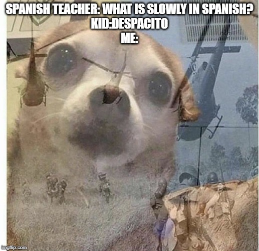 flashback doggy | SPANISH TEACHER: WHAT IS SLOWLY IN SPANISH?
KID:DESPACITO
ME: | image tagged in flashback doggy | made w/ Imgflip meme maker