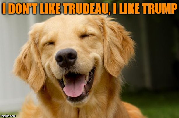 Happy Dog | I DON'T LIKE TRUDEAU, I LIKE TRUMP | image tagged in happy dog | made w/ Imgflip meme maker