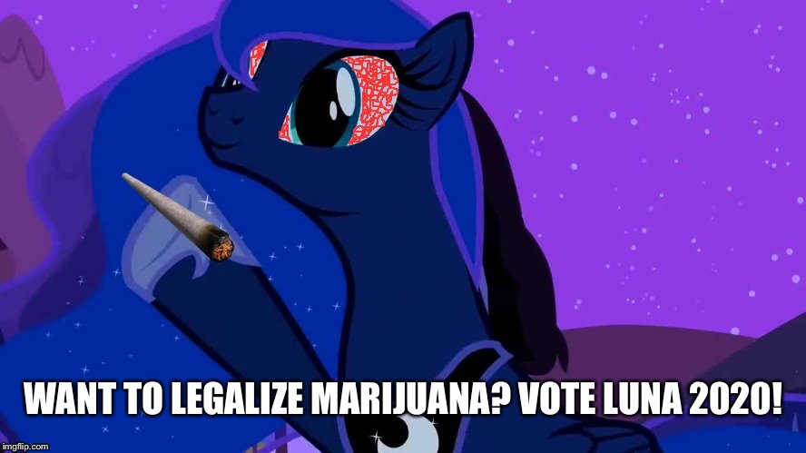 WANT TO LEGALIZE MARIJUANA? VOTE LUNA 2020! | image tagged in stoned luna | made w/ Imgflip meme maker