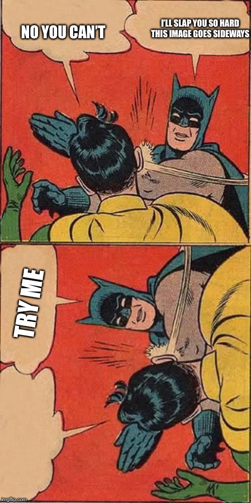 I’LL SLAP YOU SO HARD THIS IMAGE GOES SIDEWAYS; NO YOU CAN’T; TRY ME | image tagged in memes,batman slapping robin | made w/ Imgflip meme maker