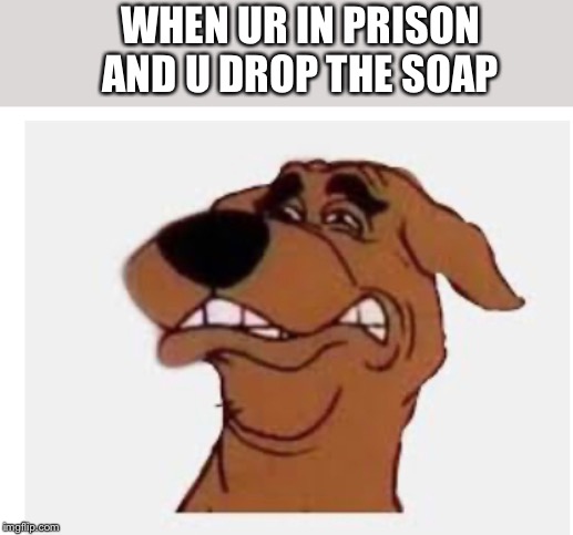 WHEN UR IN PRISON AND U DROP THE SOAP | image tagged in scooby doo,prison,soap,don't drop the soap,memes,funny memes | made w/ Imgflip meme maker