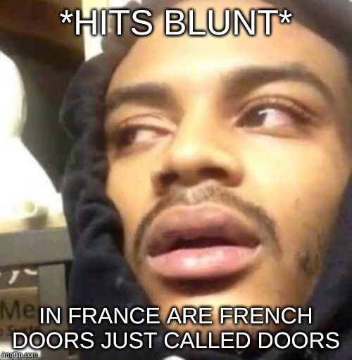 Hits Blunt | *HITS BLUNT*; IN FRANCE ARE FRENCH DOORS JUST CALLED DOORS | image tagged in hits blunt | made w/ Imgflip meme maker