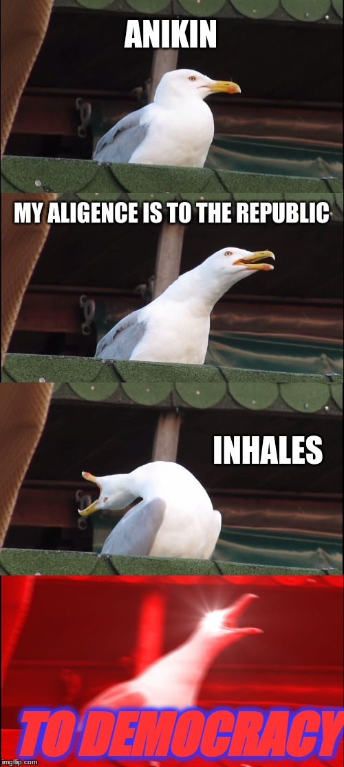 Inhaling Seagull | ANIKIN; MY ALIGENCE IS TO THE REPUBLIC; INHALES; TO DEMOCRACY | image tagged in memes,inhaling seagull | made w/ Imgflip meme maker