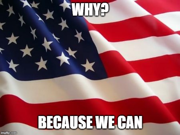 American flag | WHY? BECAUSE WE CAN | image tagged in american flag | made w/ Imgflip meme maker