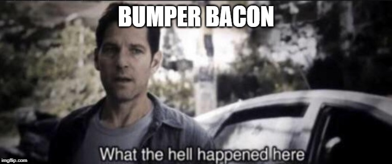 What the hell happened here | BUMPER BACON | image tagged in what the hell happened here | made w/ Imgflip meme maker