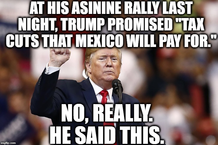 It's Now Official. Only A Clown Would Support Him. | AT HIS ASININE RALLY LAST NIGHT, TRUMP PROMISED "TAX CUTS THAT MEXICO WILL PAY FOR."; NO, REALLY. HE SAID THIS. | image tagged in donald trump,tax cuts,rally,mexico,impeach trump,moron | made w/ Imgflip meme maker