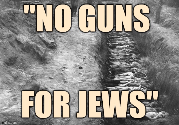 Never Forget | "NO GUNS; FOR JEWS" | image tagged in holocaust,never forget,second amendment | made w/ Imgflip meme maker