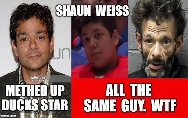 Shaun Weiss | SHAUN  WEISS; METHED UP DUCKS STAR | image tagged in meth,arrested | made w/ Imgflip meme maker