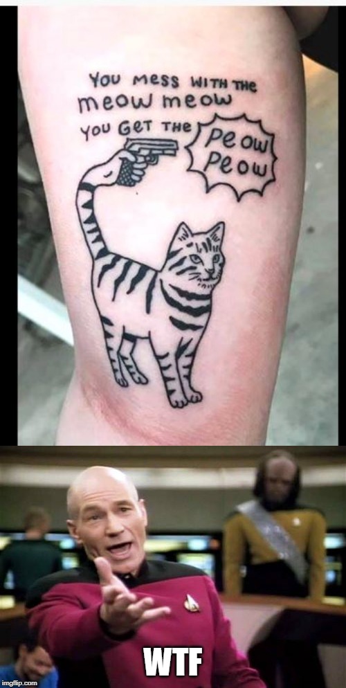 WTF | image tagged in memes,picard wtf,wtf,tattoo,fail,cats | made w/ Imgflip meme maker