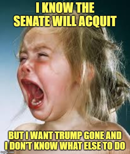 Impeachment Hoax | I KNOW THE SENATE WILL ACQUIT; BUT I WANT TRUMP GONE AND I DON'T KNOW WHAT ELSE TO DO | image tagged in crying baby,democrats,election 2020,trump | made w/ Imgflip meme maker