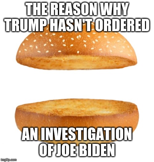 Nothing Burger | THE REASON WHY TRUMP HASN'T ORDERED; AN INVESTIGATION OF JOE BIDEN | image tagged in nothing burger | made w/ Imgflip meme maker