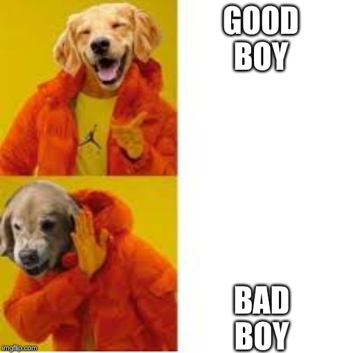 droke | GOOD
BOY; BAD
BOY | image tagged in dog,dogs | made w/ Imgflip meme maker
