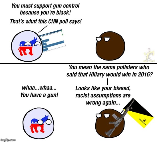 (From Anarchyball) | image tagged in memes,guns,rights,blacks,democrats,racism | made w/ Imgflip meme maker