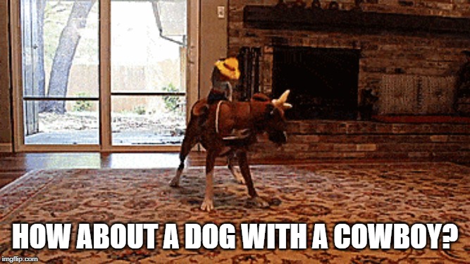 HOW ABOUT A DOG WITH A COWBOY? | made w/ Imgflip meme maker