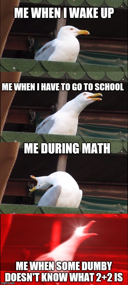Inhaling Seagull | ME WHEN I WAKE UP; ME WHEN I HAVE TO GO TO SCHOOL; ME DURING MATH; ME WHEN SOME DUMBY DOESN'T KNOW WHAT 2+2 IS | image tagged in memes,inhaling seagull | made w/ Imgflip meme maker