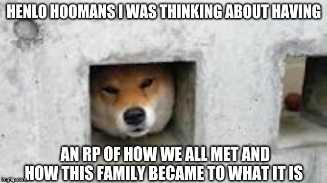 HENLO HOOMANS I WAS THINKING ABOUT HAVING; AN RP OF HOW WE ALL MET AND HOW THIS FAMILY BECAME TO WHAT IT IS | made w/ Imgflip meme maker
