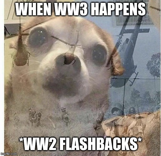 flashback doggy | WHEN WW3 HAPPENS; *WW2 FLASHBACKS* | image tagged in flashback doggy | made w/ Imgflip meme maker