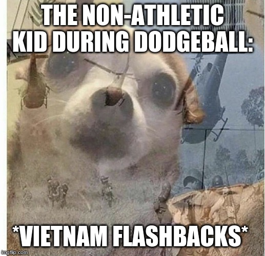 flashback doggy | THE NON-ATHLETIC KID DURING DODGEBALL:; *VIETNAM FLASHBACKS* | image tagged in flashback doggy | made w/ Imgflip meme maker
