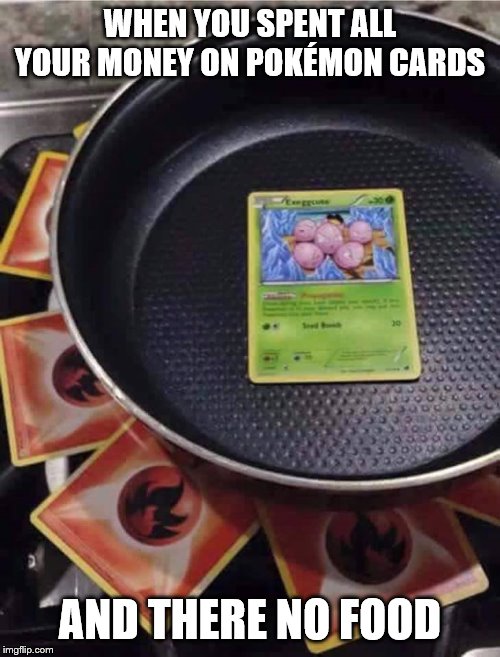 pokémon cooking | WHEN YOU SPENT ALL YOUR MONEY ON POKÉMON CARDS; AND THERE NO FOOD | image tagged in pokmon cooking | made w/ Imgflip meme maker