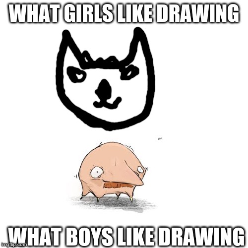 what boys and girls draw | WHAT GIRLS LIKE DRAWING; WHAT BOYS LIKE DRAWING | image tagged in funny,memes | made w/ Imgflip meme maker