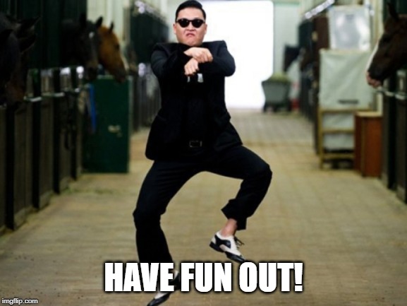 Psy Horse Dance Meme | HAVE FUN OUT! | image tagged in memes,psy horse dance | made w/ Imgflip meme maker
