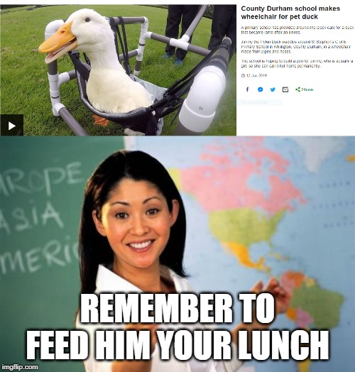 Ducks want ur lunch | REMEMBER TO FEED HIM YOUR LUNCH | image tagged in memes,unhelpful high school teacher,lunch,funny,class,duck | made w/ Imgflip meme maker