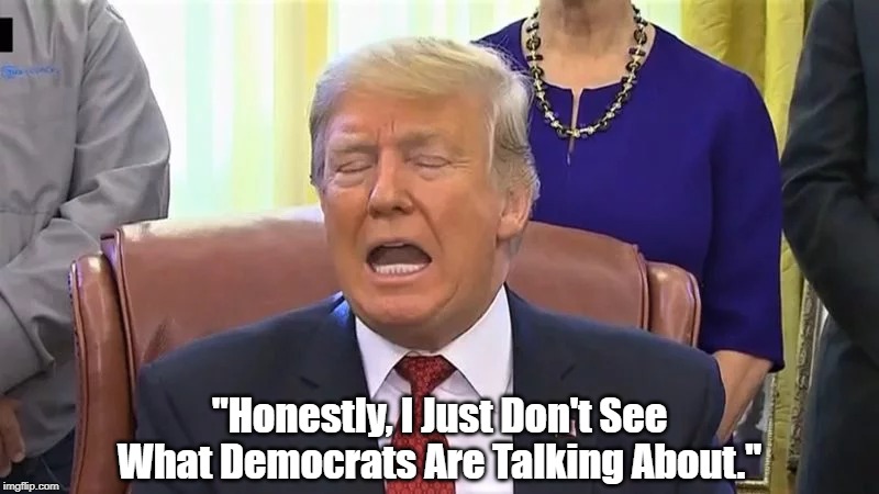 "Honestly, I Just Don't See What Democrats Are Talking About" | "Honestly, I Just Don't See What Democrats Are Talking About." | image tagged in donald dunce,conservatives poke their own eyes out,poking your own eyes out is a prerequisite,self induced blindness,i don't see | made w/ Imgflip meme maker