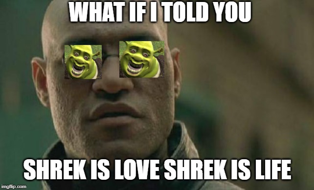 Matrix Morpheus | WHAT IF I TOLD YOU; SHREK IS LOVE SHREK IS LIFE | image tagged in memes,matrix morpheus | made w/ Imgflip meme maker