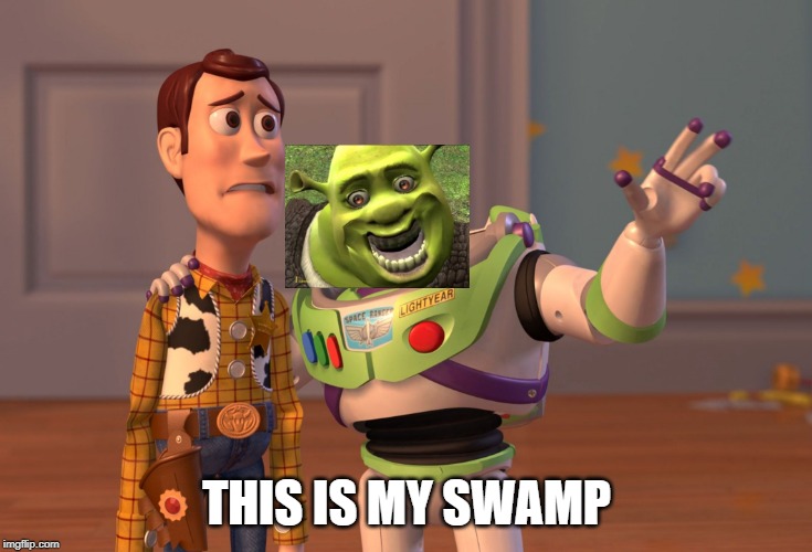 X, X Everywhere | THIS IS MY SWAMP | image tagged in memes,x x everywhere | made w/ Imgflip meme maker