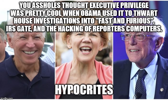 yep | YOU ASSHOLES THOUGHT EXECUTIVE PRIVILEGE WAS PRETTY COOL WHEN OBAMA USED IT TO THWART HOUSE INVESTIGATIONS INTO "FAST AND FURIOUS", IRS GATE, AND THE HACKING OF REPORTERS COMPUTERS. HYPOCRITES | image tagged in impeachment,trump,biden,warren,bernie sanders | made w/ Imgflip meme maker