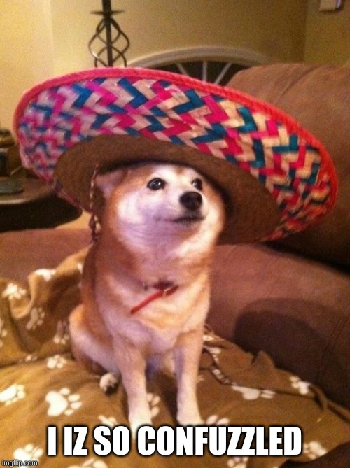 Sombrero Shiba Inu | I IZ SO CONFUZZLED | image tagged in sombrero shiba inu | made w/ Imgflip meme maker