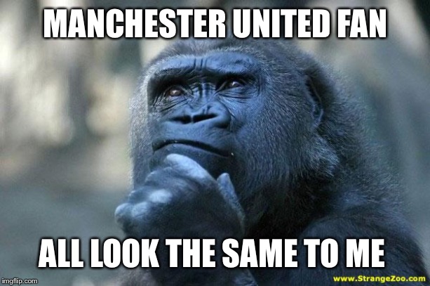 Deep Thoughts | MANCHESTER UNITED FAN; ALL LOOK THE SAME TO ME | image tagged in deep thoughts | made w/ Imgflip meme maker