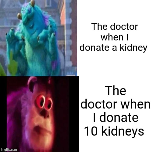 The doctor when I donate a kidney; The doctor when I donate 10 kidneys | image tagged in memes,sully | made w/ Imgflip meme maker