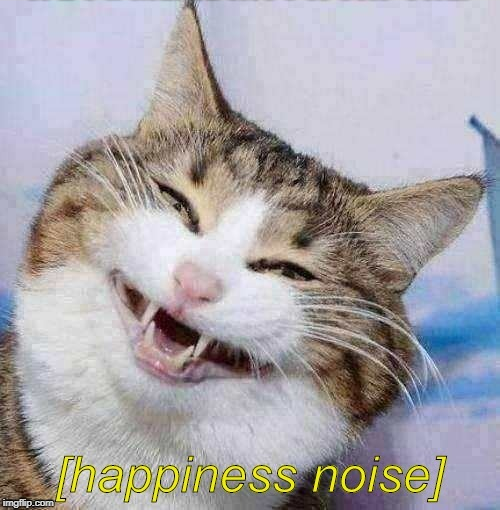 Happiness Noise Cat Blank Meme Template