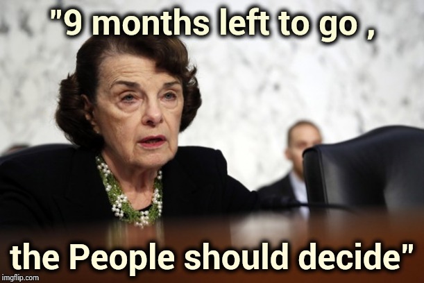 The Democrats don't want witnesses either | "9 months left to go , the People should decide" | image tagged in dianne feinstein dimwit,politicians suck,impeachment,well yes but actually no,admitting defeat,get over it | made w/ Imgflip meme maker