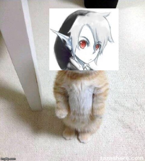 Cute Cat Meme | image tagged in memes,cute cat | made w/ Imgflip meme maker