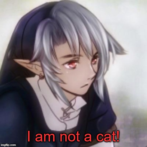 I am not a cat! | made w/ Imgflip meme maker