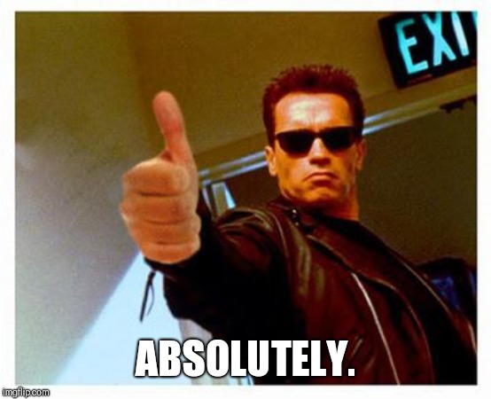 terminator thumbs up | ABSOLUTELY. | image tagged in terminator thumbs up | made w/ Imgflip meme maker