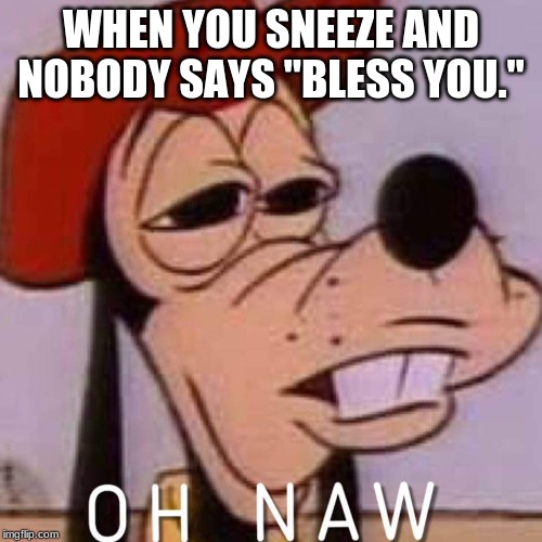 Oh naw | WHEN YOU SNEEZE AND NOBODY SAYS "BLESS YOU." | image tagged in oh naw | made w/ Imgflip meme maker