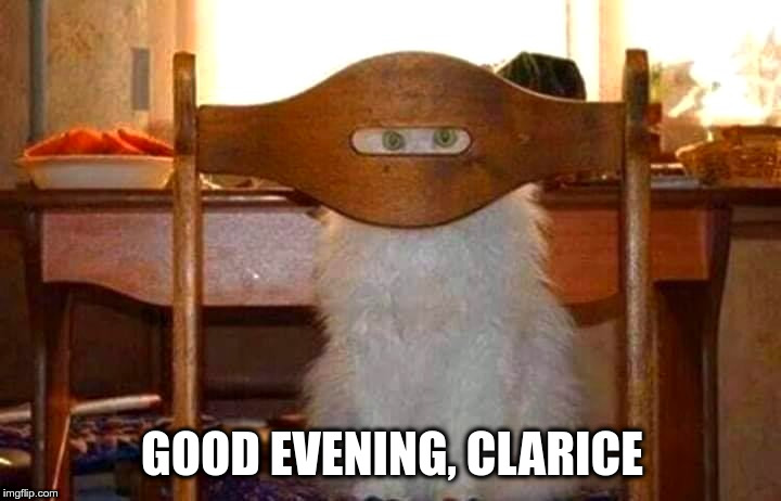 Where's my Tuna? | GOOD EVENING, CLARICE | image tagged in grumpy cat,silence of the lambs,funny cats,cats are awesome | made w/ Imgflip meme maker