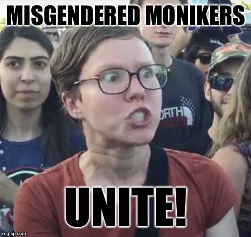 When you cringe at yourself for having a misgendered moniker. | MISGENDERED MONIKERS; UNITE! | image tagged in triggered feminist,imgflip,imgflip users,did you just assume my gender,sex,gender | made w/ Imgflip meme maker