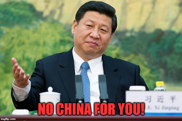 Xi Jinping | NO CHINA FOR YOU! | image tagged in xi jinping | made w/ Imgflip meme maker